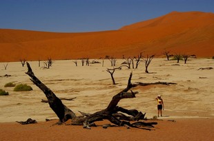 400 Namibia Okt 2006 .JPG
